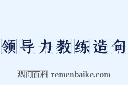 领导力教练造句是什么意思的图片